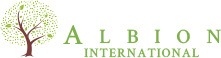 Albion International Logo